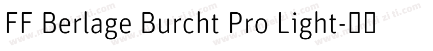 FF Berlage Burcht Pro Light字体转换